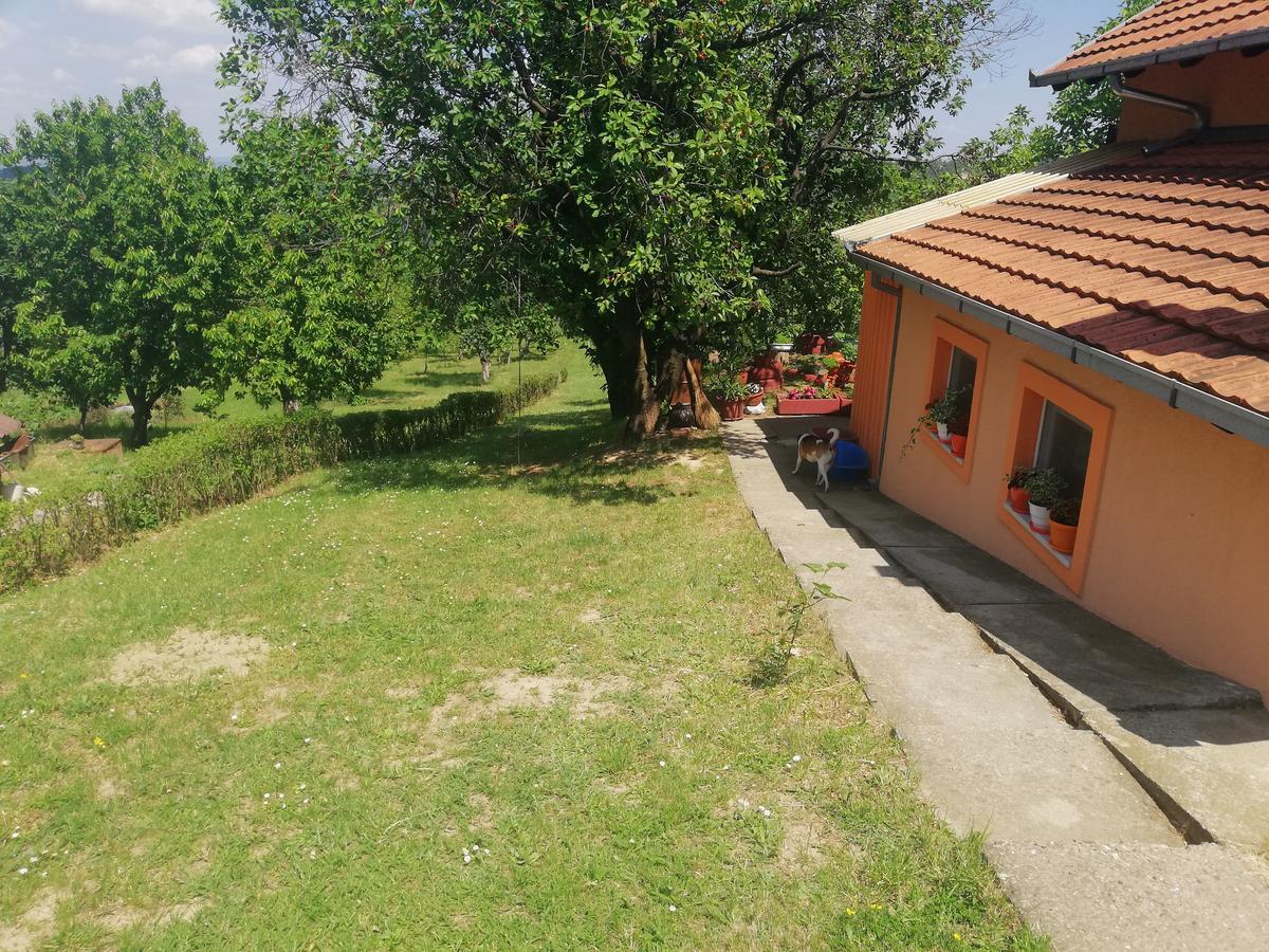Guest House Jevtovic Sremski Karlovci Exteriör bild