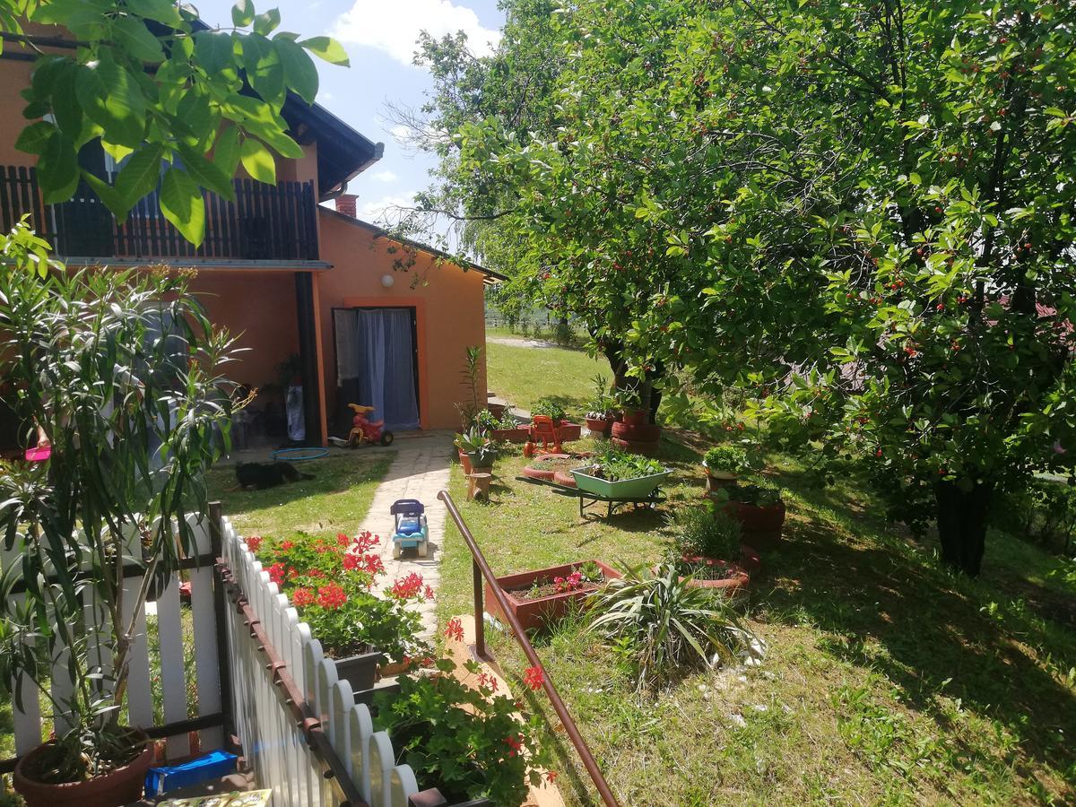 Guest House Jevtovic Sremski Karlovci Exteriör bild