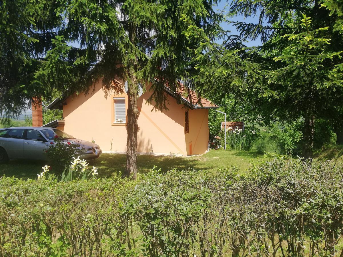 Guest House Jevtovic Sremski Karlovci Exteriör bild