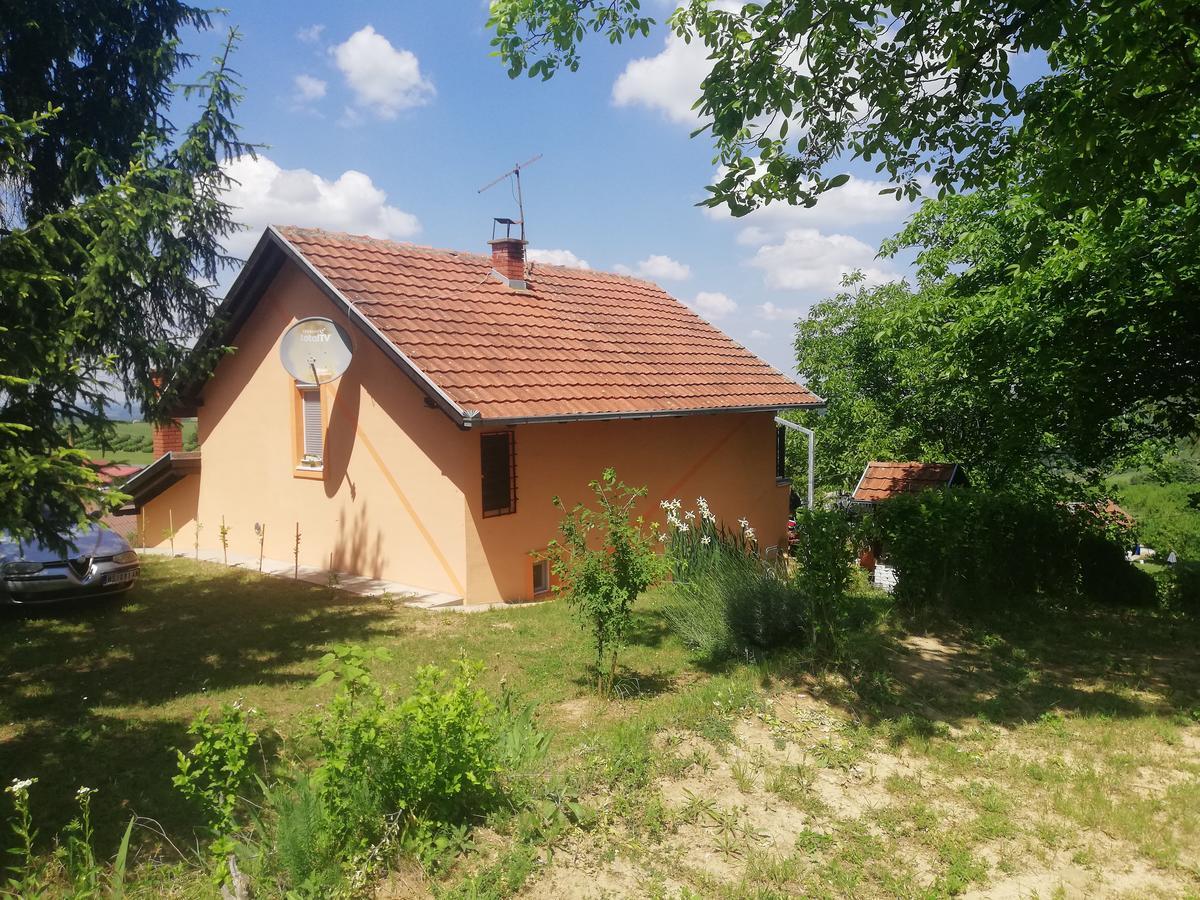 Guest House Jevtovic Sremski Karlovci Exteriör bild