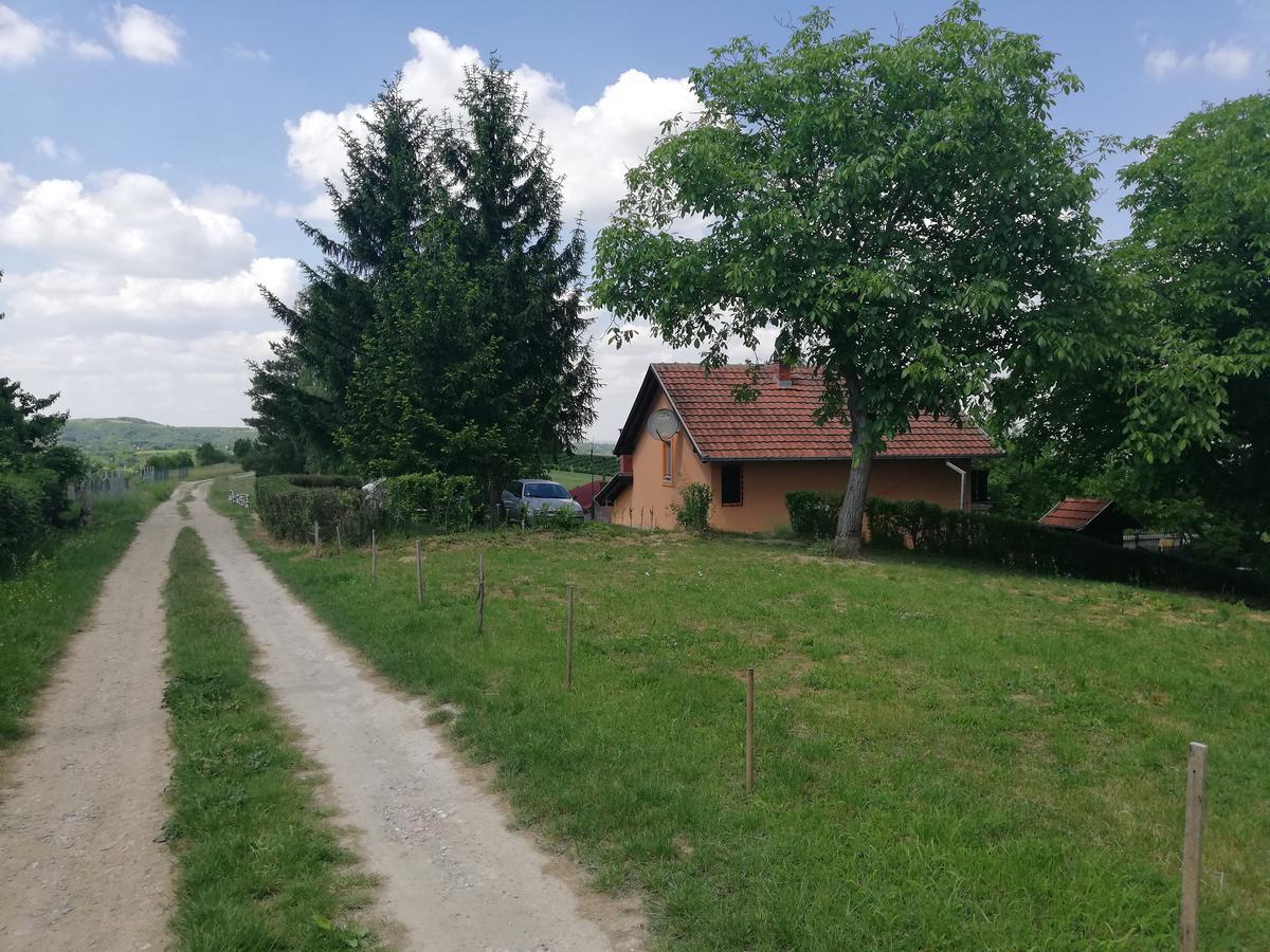 Guest House Jevtovic Sremski Karlovci Exteriör bild
