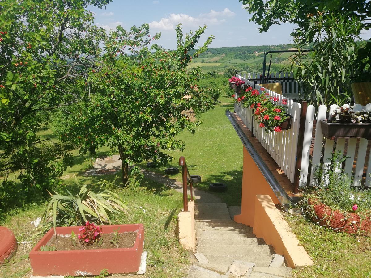 Guest House Jevtovic Sremski Karlovci Exteriör bild